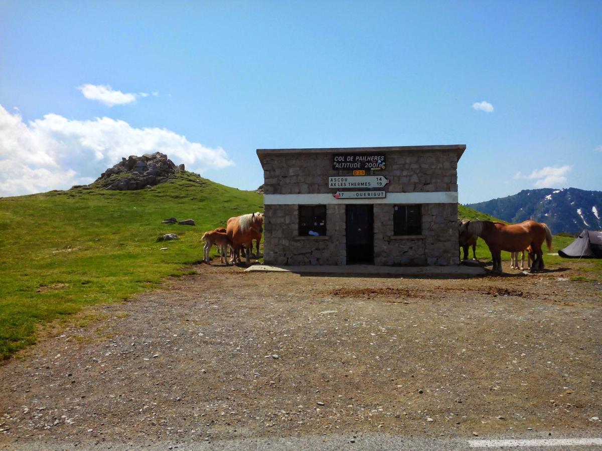 Gite Chaleureux Au Coeur Du Village Roquetaillade エクステリア 写真
